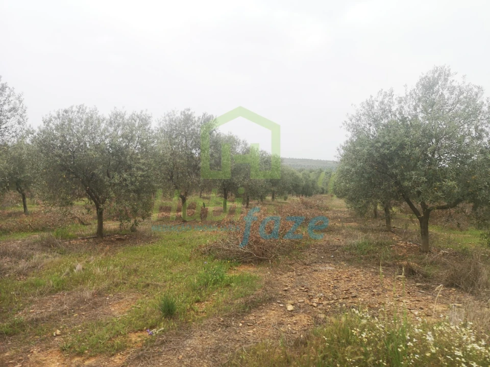 Quinta para Venda em Mertola Foto 5