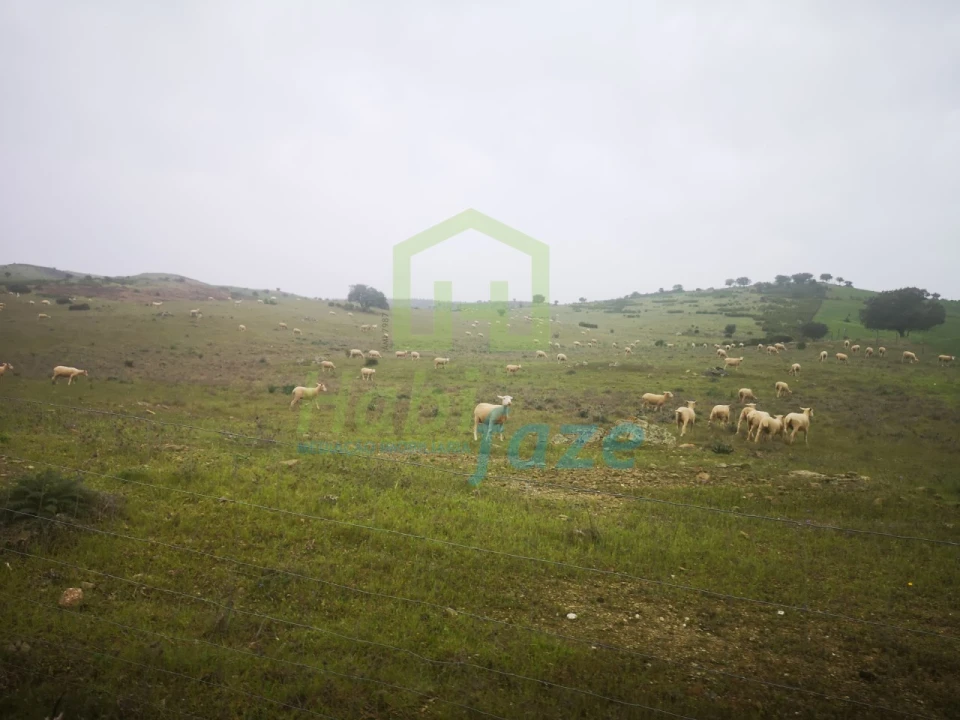 Quinta para Venda em Mertola Foto 6