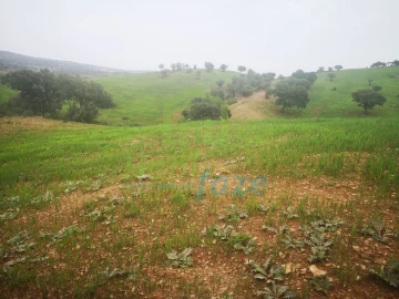 Quinta para Venda em Mertola