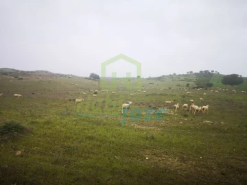 Quinta para Venda em Mertola