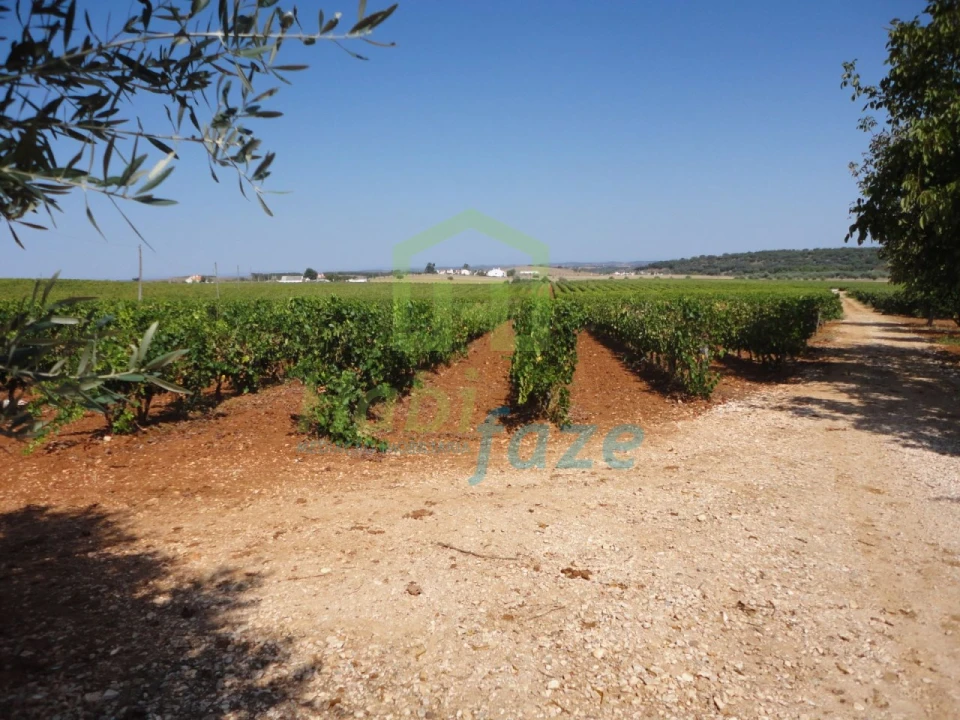 Quinta T6 para Venda em São Lourenço de Mamporcão e São Bento de Ana Loura Foto 2
