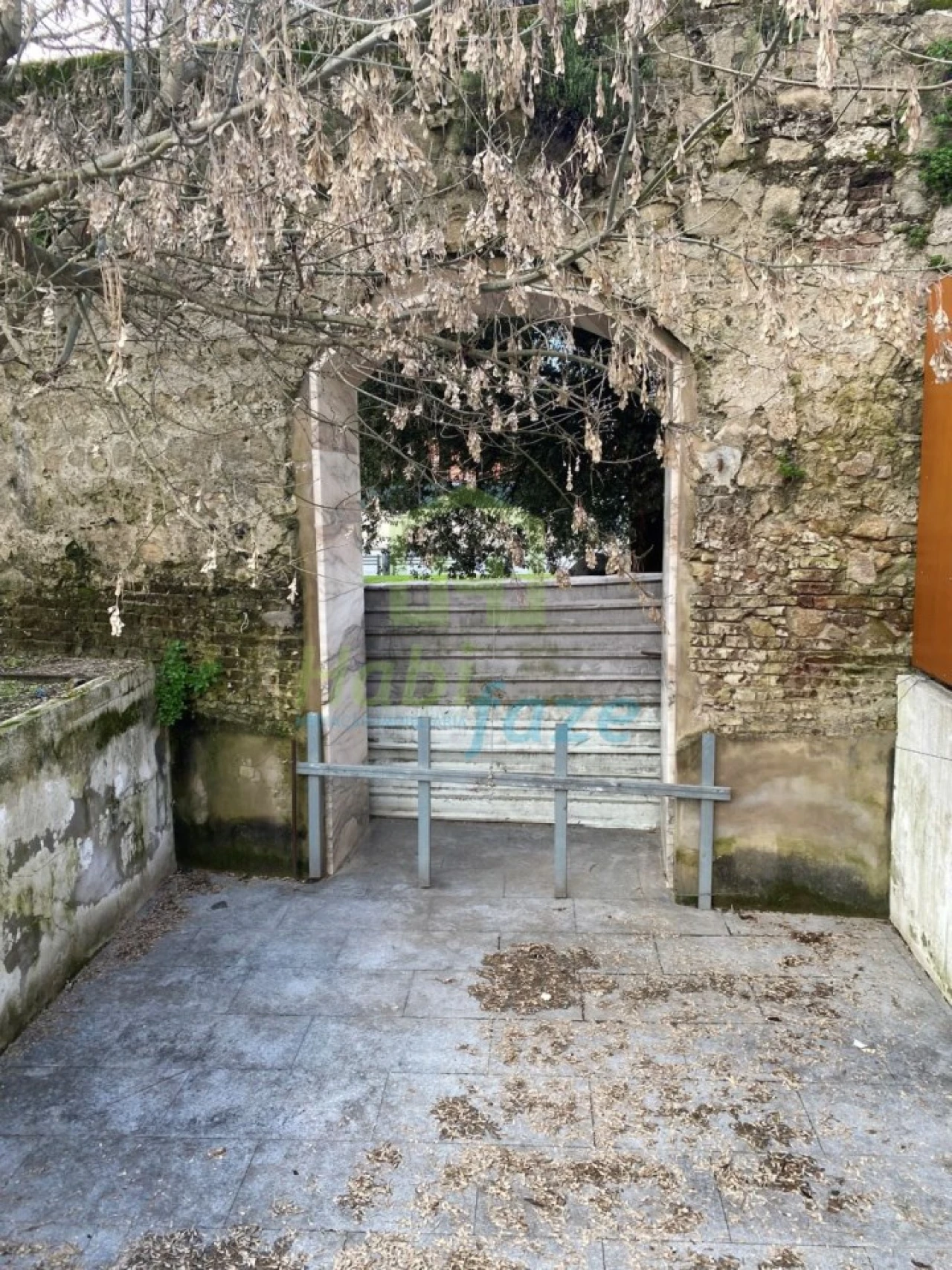 Loja para Venda em Évora (São Mamede, Sé, São Pedro e Santo Antão) Foto 6