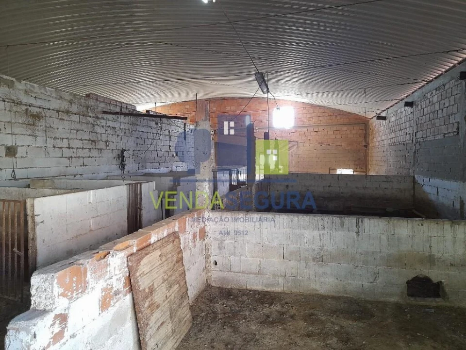 Terreno para Venda em Vila Verde de Ficalho Foto 4