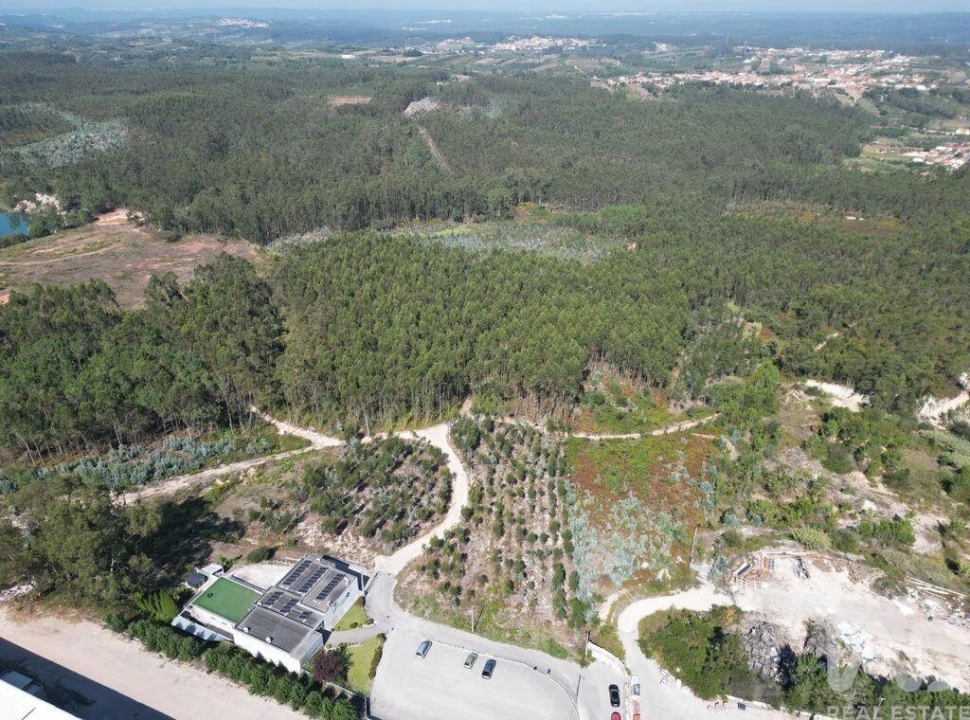 Terreno para Venda em Pedreiras Foto 5