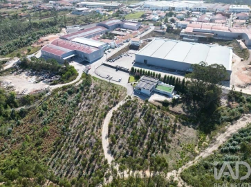 Terreno para Venda em Pedreiras