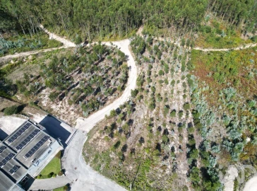 Terreno para Venda em Pedreiras