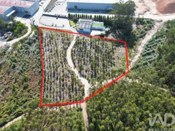Terreno para Venda em Pedreiras