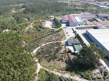 Terreno para Venda em Pedreiras