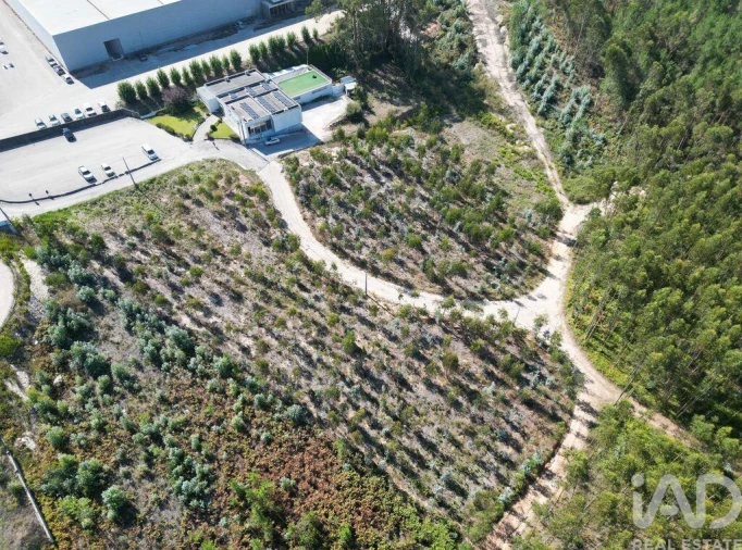 Terreno para Venda em Pedreiras Foto 3