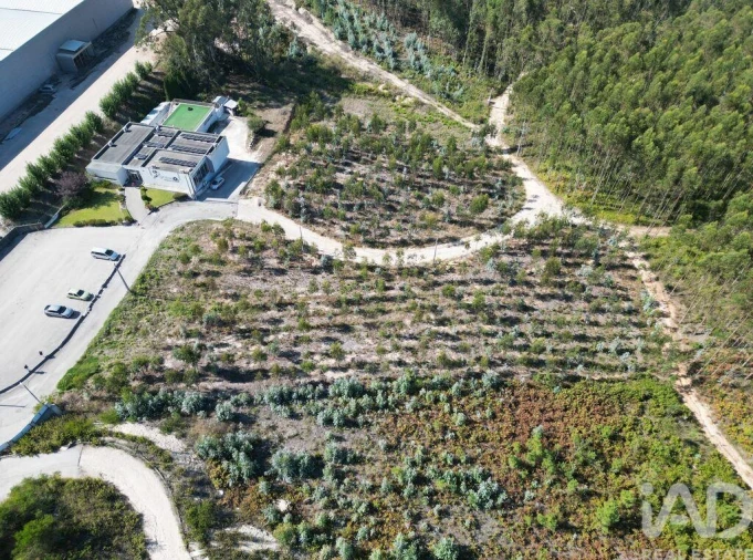 Terreno para Venda em Pedreiras Foto 4
