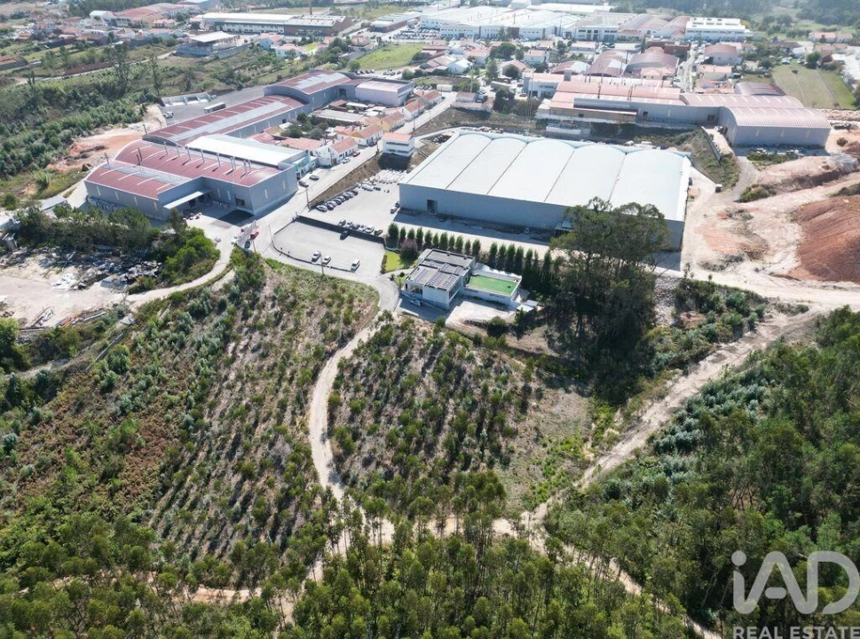 Terreno para Venda em Pedreiras Foto 9