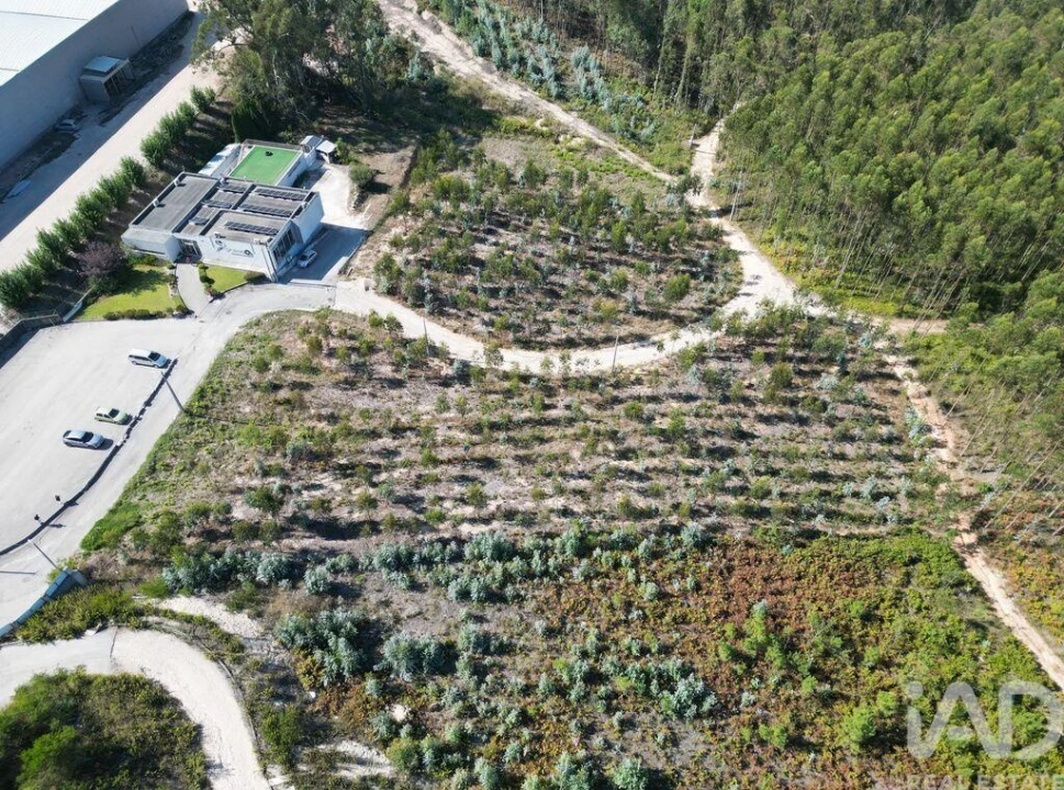 Terreno para Venda em Pedreiras Foto 4