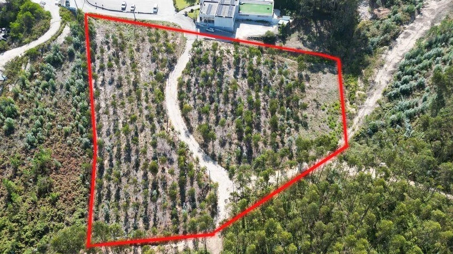Terreno para Venda em Pedreiras