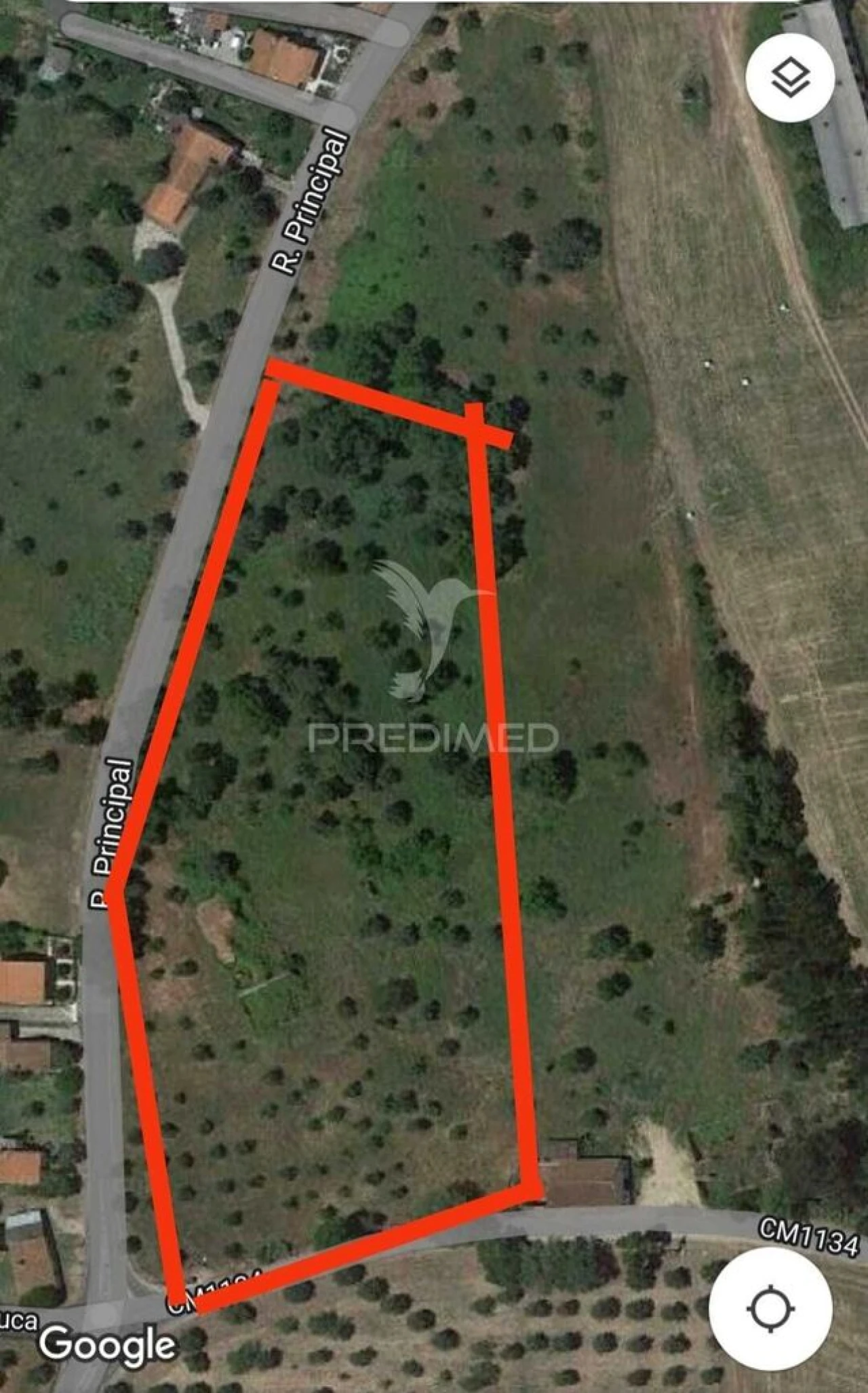 Terreno para Venda em Madalena e Beselga Foto 3