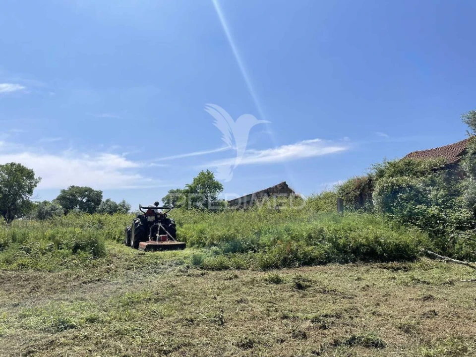 Terreno para Venda em Madalena e Beselga Foto 5