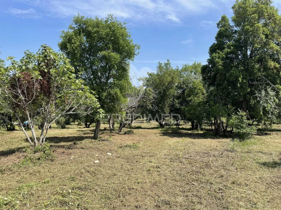 Terreno para Venda em Madalena e Beselga Foto 6