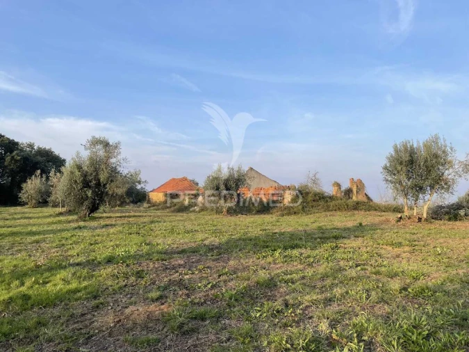 Terreno para Venda em Madalena e Beselga Foto 2