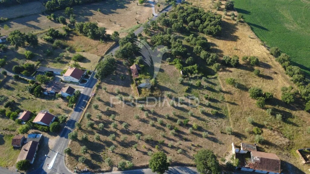 Terreno para Venda em Madalena e Beselga Foto 4