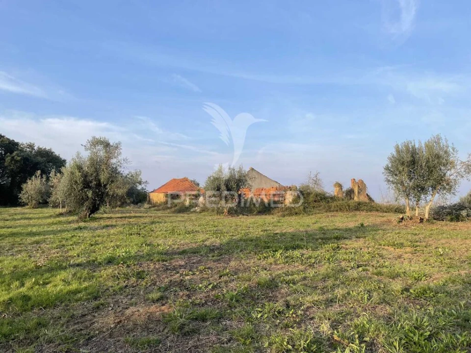 Terreno para Venda em Madalena e Beselga Foto 2