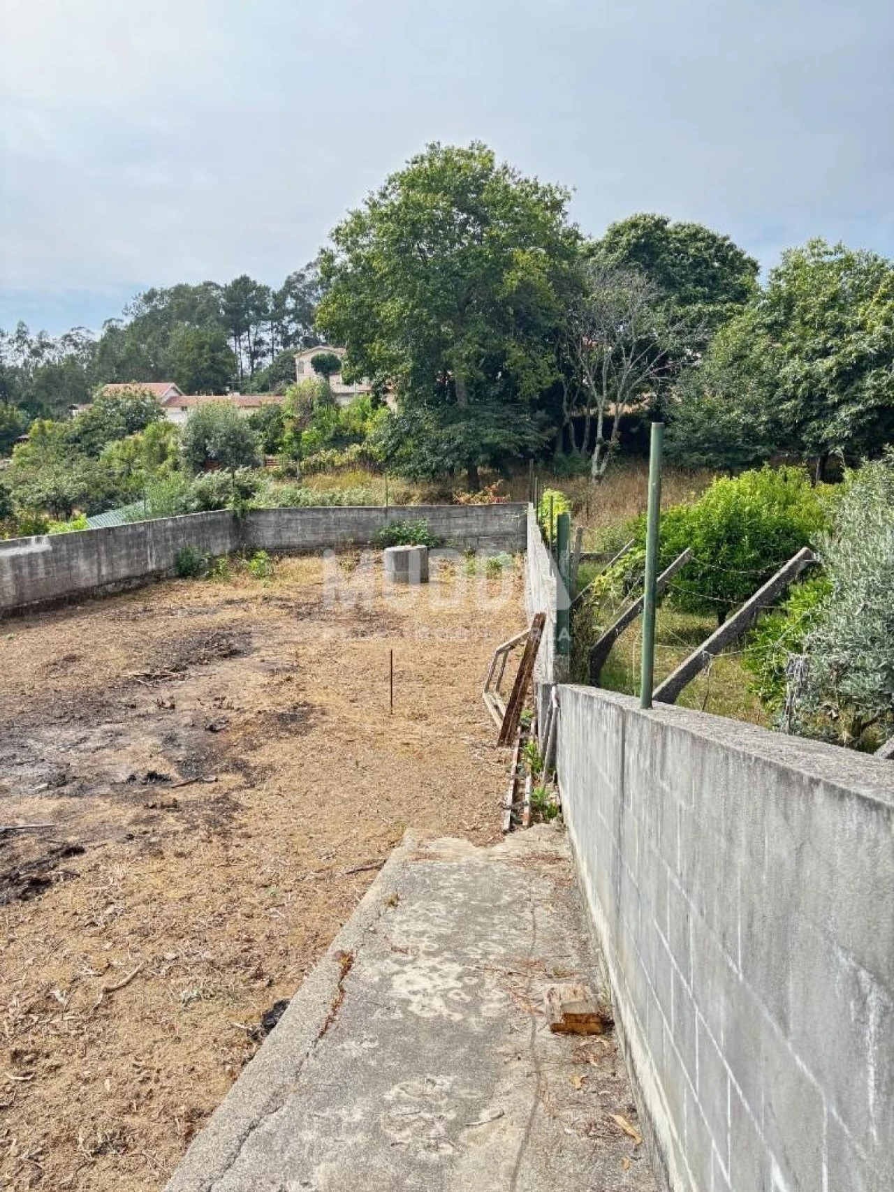 Terreno para Venda em Vila de Cucujães Foto 9