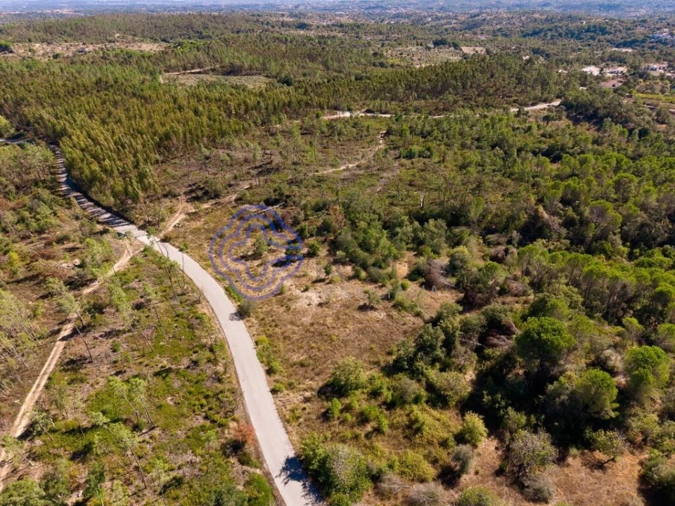 Terreno para Venda em Madalena e Beselga Foto 10