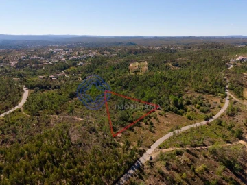 Terreno para Venda em Madalena e Beselga