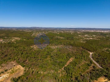 Terreno para Venda em Madalena e Beselga