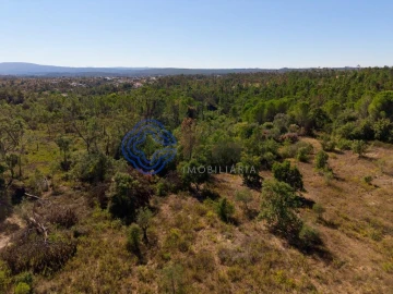 Terreno para Venda em Madalena e Beselga