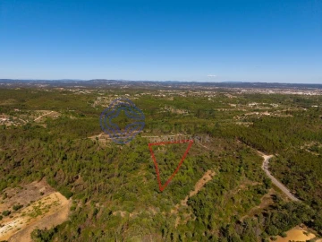 Terreno para Venda em Madalena e Beselga