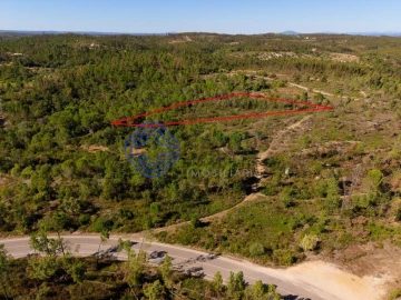 Terreno para Venda em Madalena e Beselga