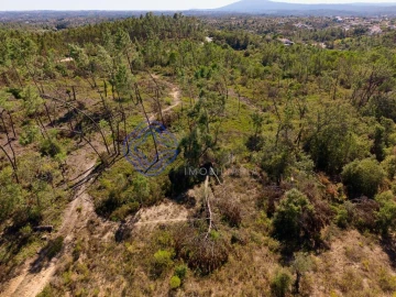Terreno para Venda em Madalena e Beselga