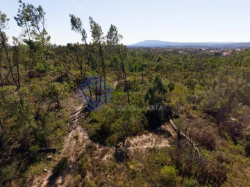 Terreno para Venda em Madalena e Beselga