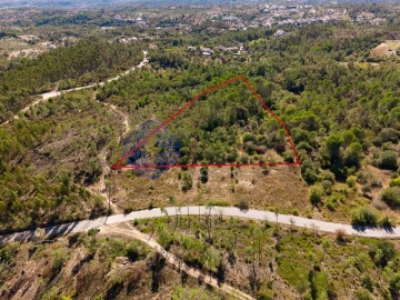 Terreno para Venda em Madalena e Beselga