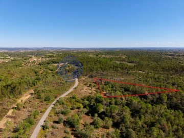 Terreno para Venda em Madalena e Beselga
