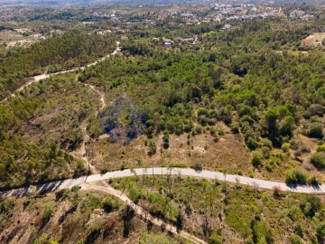 Terreno para Venda em Madalena e Beselga