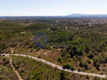 Terreno para Venda em Madalena e Beselga