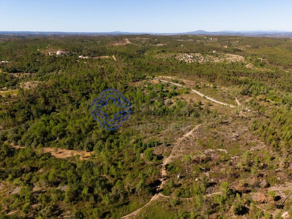 Terreno para Venda em Madalena e Beselga Foto 12