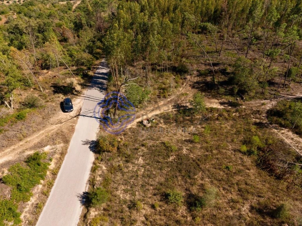 Terreno para Venda em Madalena e Beselga Foto 27