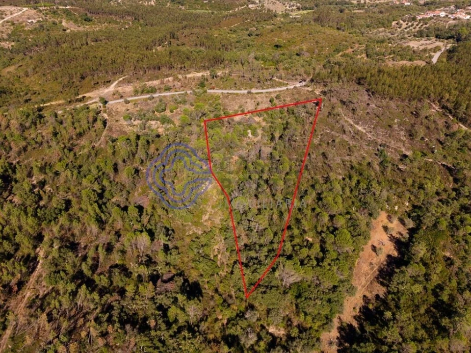 Terreno para Venda em Madalena e Beselga Foto 21