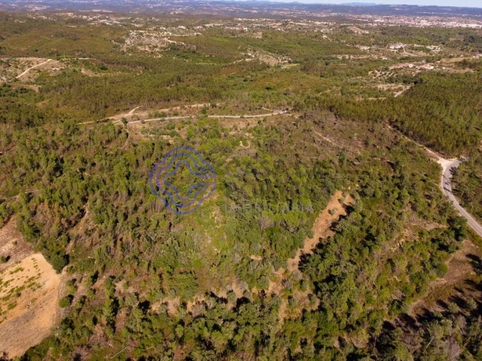 Terreno para Venda em Madalena e Beselga Foto 24