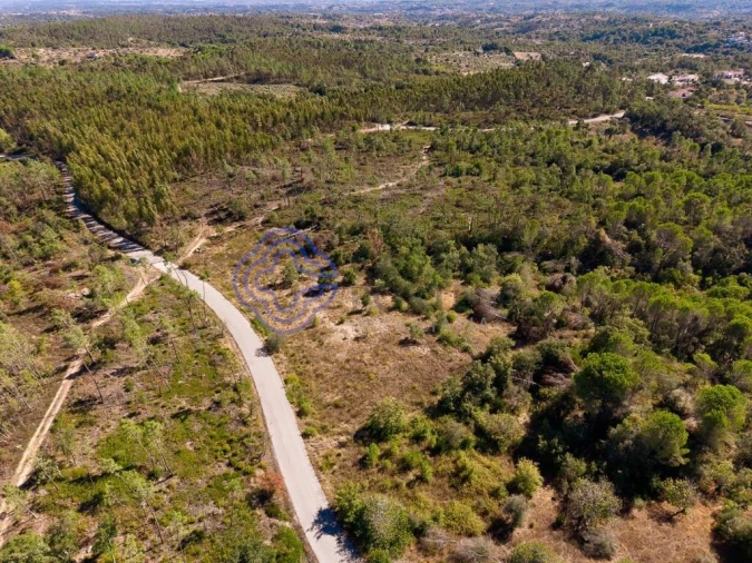Terreno para Venda em Madalena e Beselga Foto 10