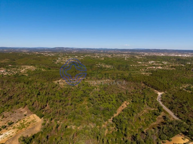 Terreno para Venda em Madalena e Beselga Foto 26
