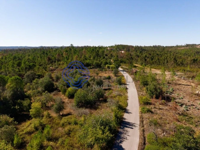 Terreno para Venda em Madalena e Beselga Foto 15