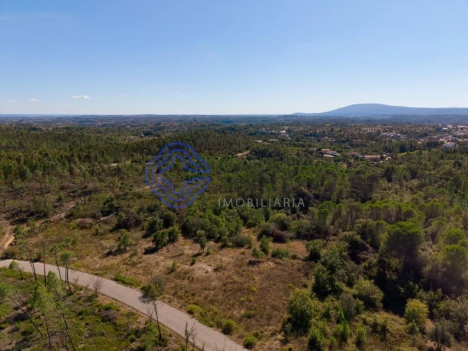 Terreno para Venda em Madalena e Beselga Foto 16
