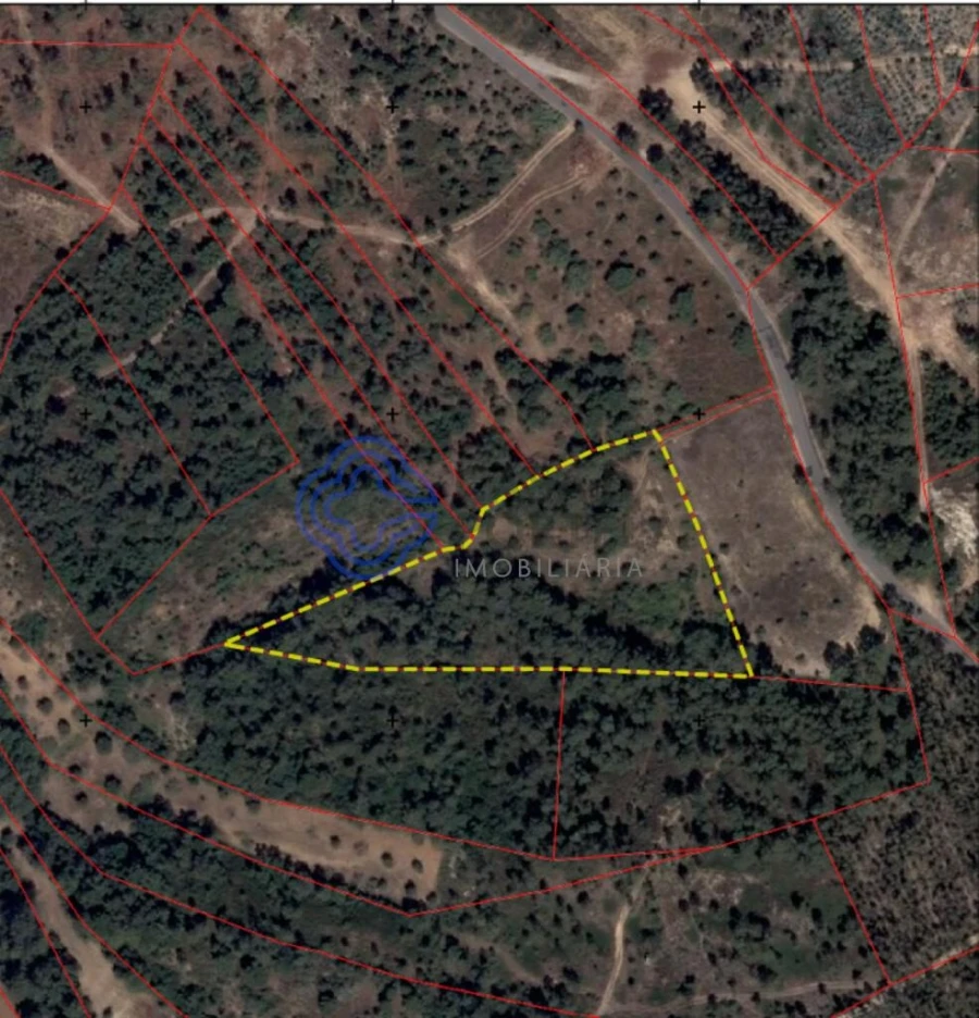 Terreno para Venda em Madalena e Beselga Planta 1