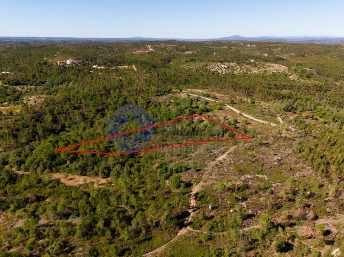 Terreno para Venda em Madalena e Beselga Foto 11