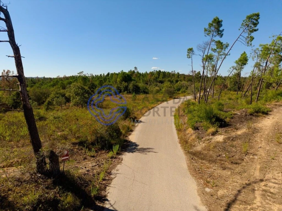 Terreno para Venda em Madalena e Beselga Foto 4