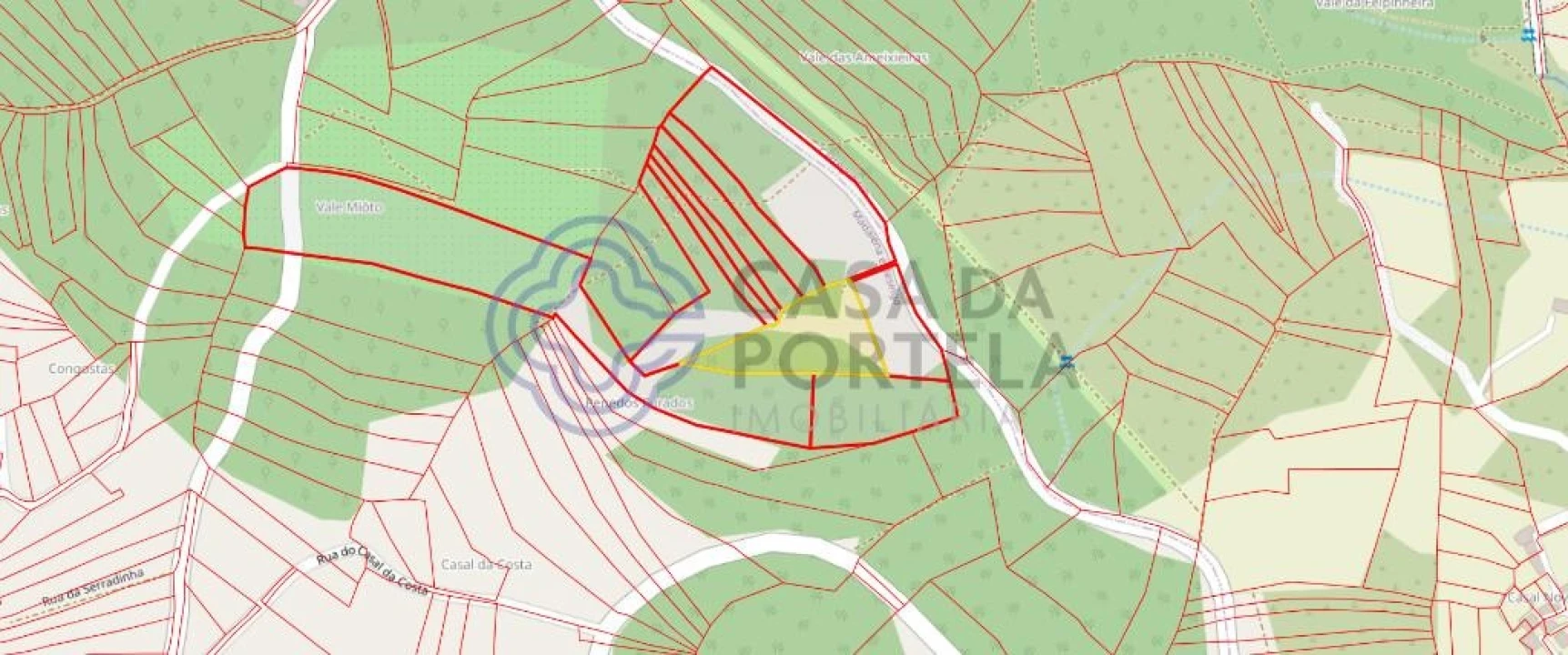 Terreno para Venda em Madalena e Beselga Foto 1