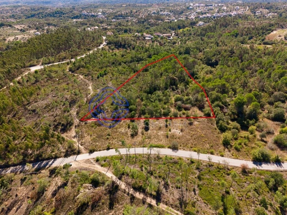Terreno para Venda em Madalena e Beselga Foto 8