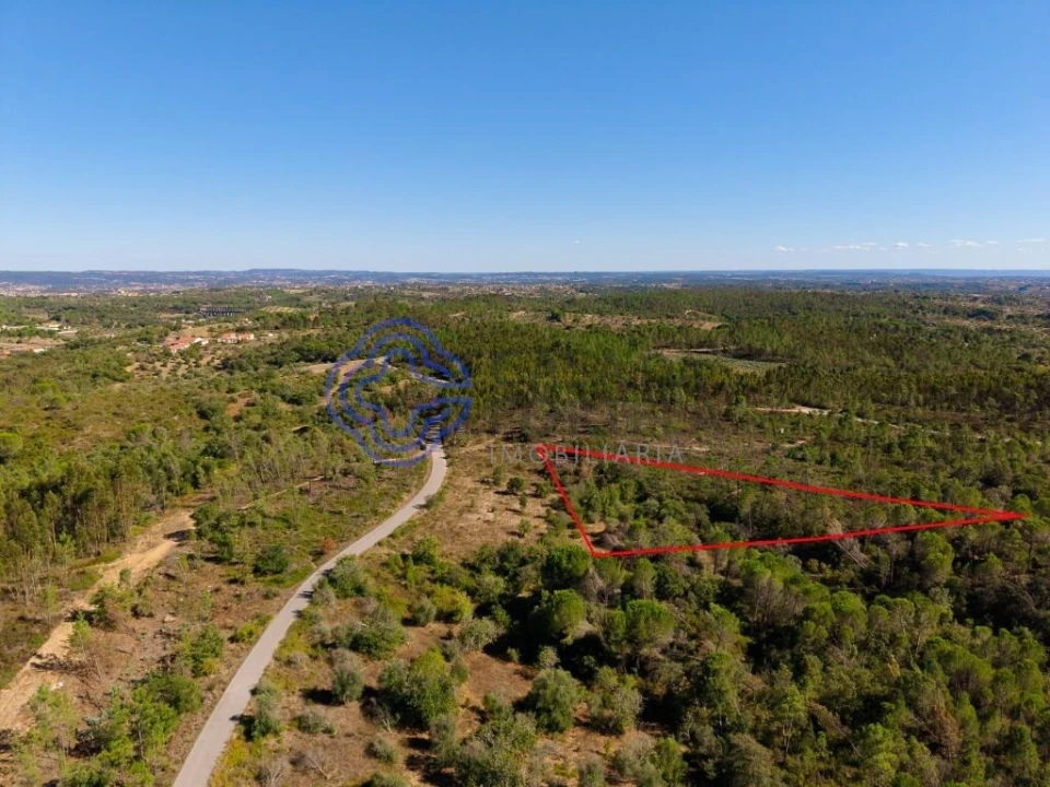 Terreno para Venda em Madalena e Beselga Foto 18